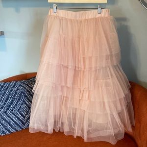 Chicwish Tulle Skirt